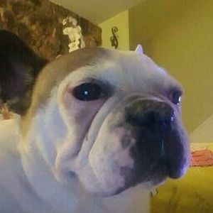 Meet your Posher, Alison